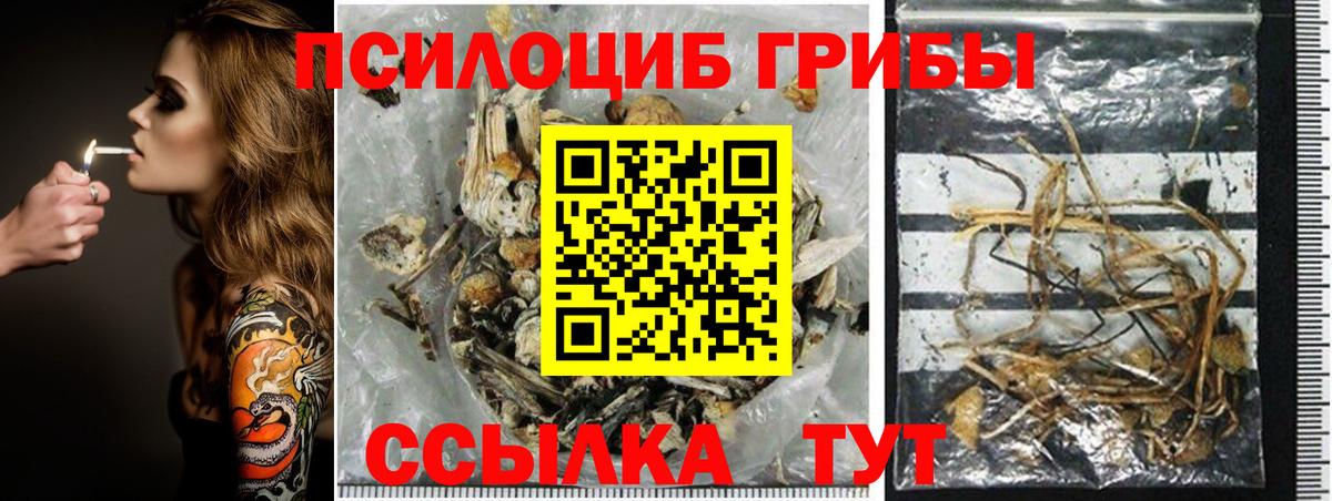 Псилоцибиновые грибы Magic Shrooms Белгород