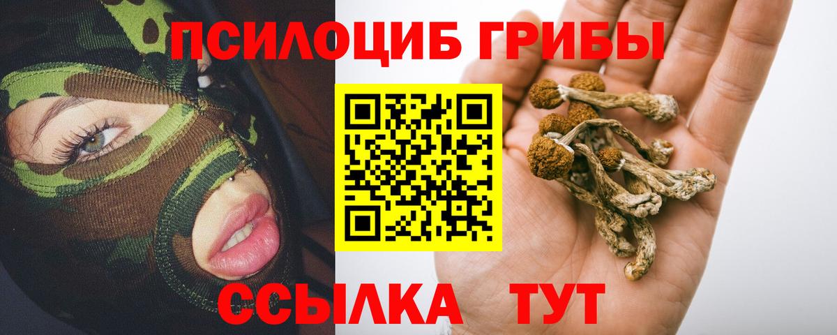Псилоцибиновые грибы GOLDEN TEACHER  Псилоцибиновые грибы ЛСД  Вход с VPN  Белгород 
